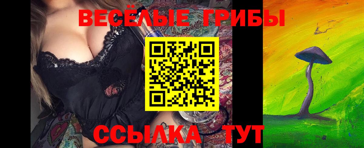 Галлюциногенные грибы Cubensis  Вход с VPN  Волжский 